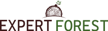 Expert Forest