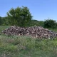 lemn-de-foc-iasi (5)