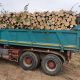 lemn-de-foc-iasi-expert-forest (2)